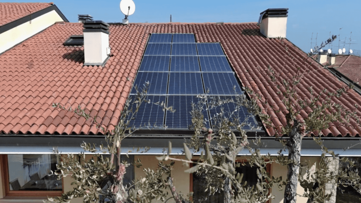 Impianto fotovoltaico su villetta parzialmente coperto da pianta.